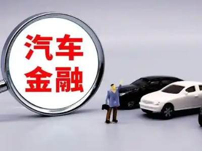 冷水江押车贷款不是本人可以么?